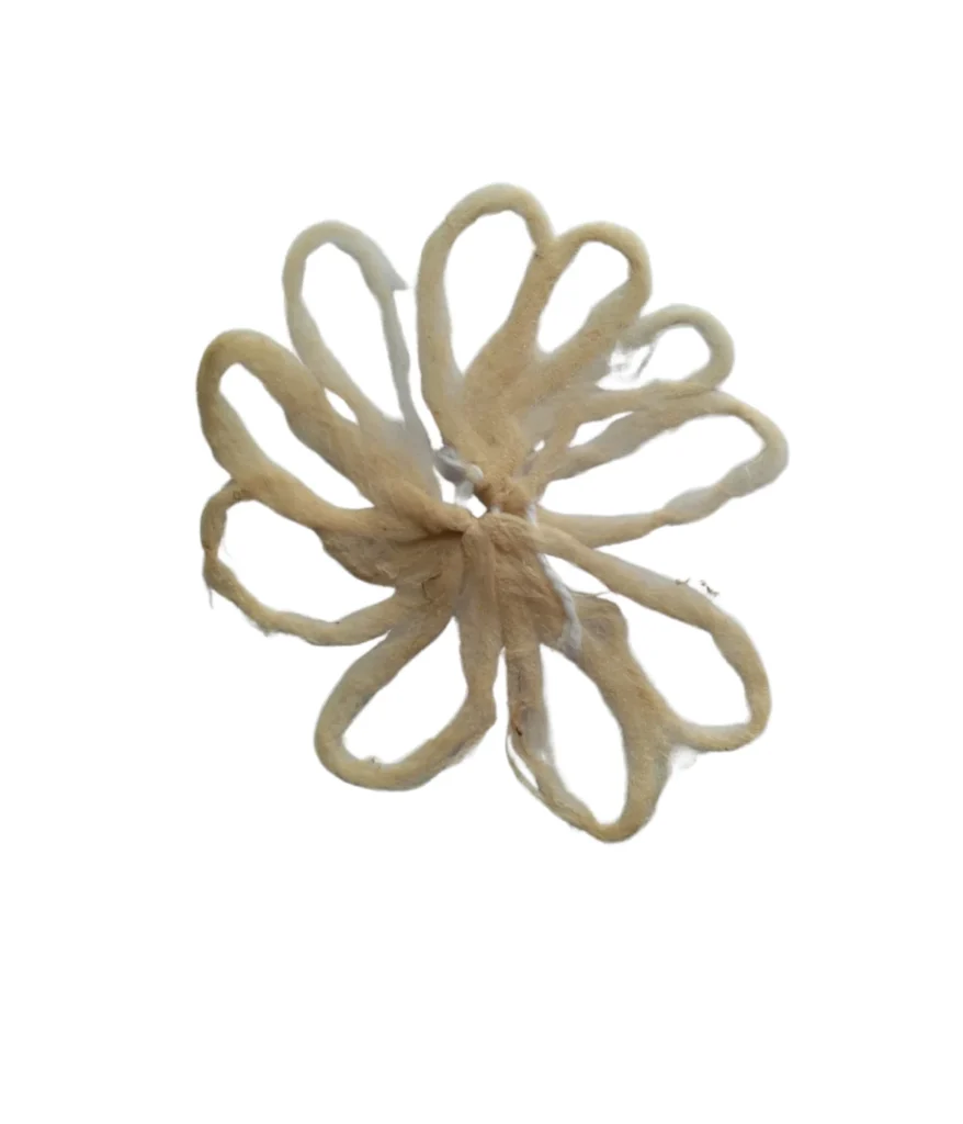 Lotus wicks
